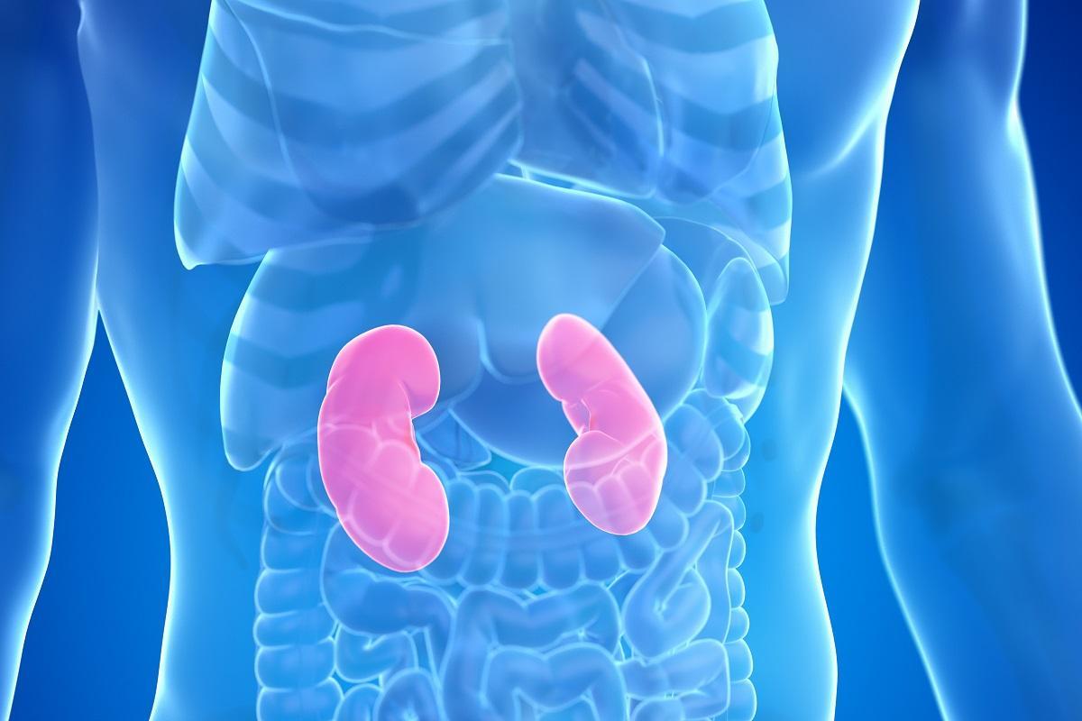 Aumentan la prevalencia de enfermedad renal crónica