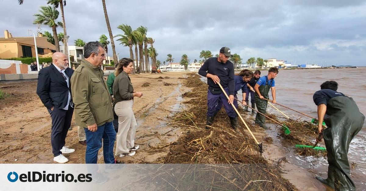 Los expertos sitúan al Mar Menor al borde de una nueva ‘sopa verde’ tras la dana ‘Alice’ por el aumento de la clorofila