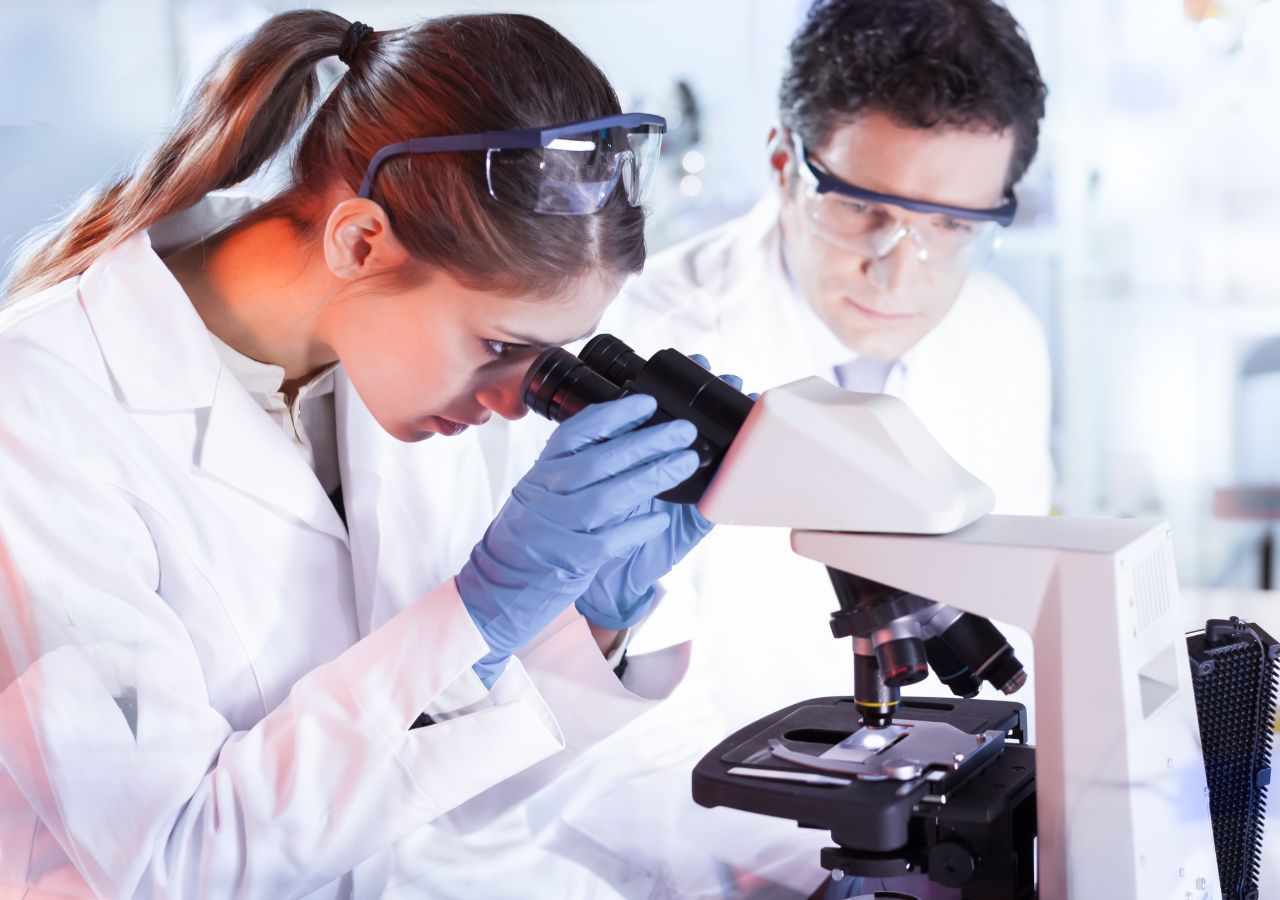 Unos expertos del CISC y de la USAL descubren una bacteria capaz de destruir células cancerosas