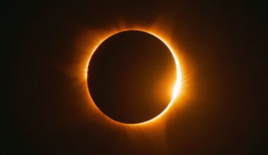 El eclipse total de Sol que engañó a las aves y desató el "falso coro del amanecer"