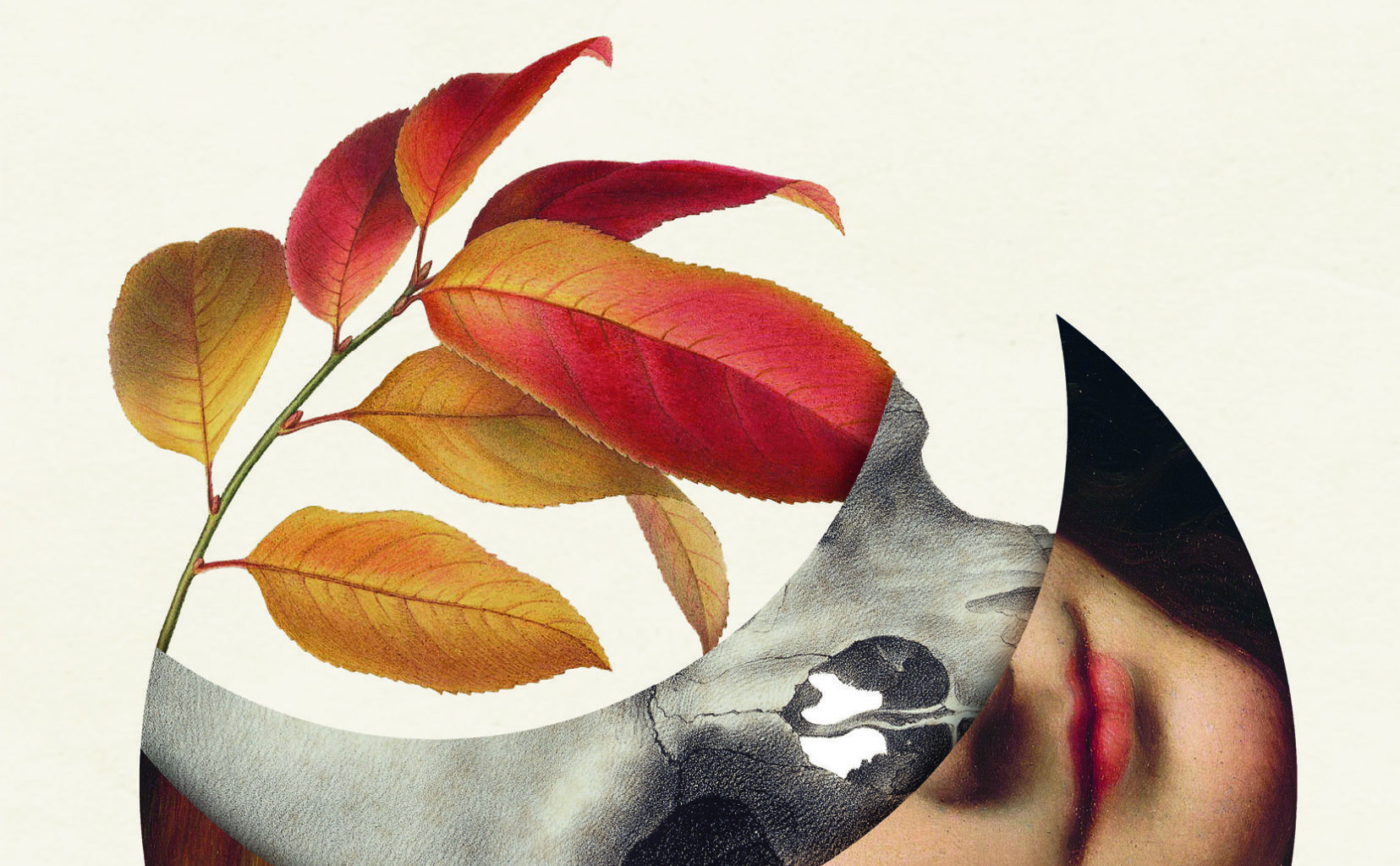 La resurrección botánica: Gospodínov