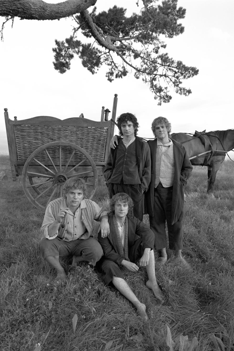 elijah wood actor frodo el senor de los anillos elijah wood actor frodo el senor de los anillos