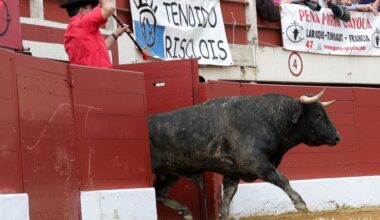 Vic-Fezensac pone fecha a su feria torista: tres días de toros del 23 al 25 de mayo de 2026