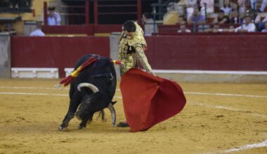 Diario de Córdoba
