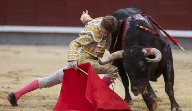 Entusiasmo por la tauromaquia - Agapito Maestre - Libertad Digital