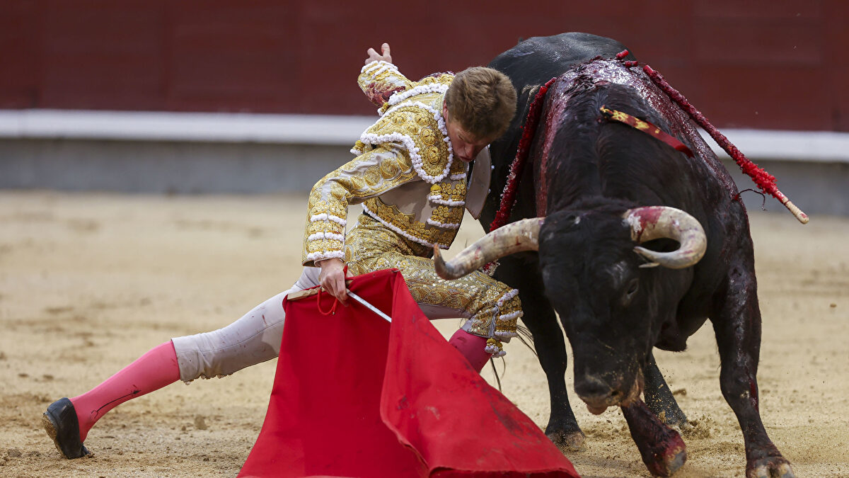 Entusiasmo por la tauromaquia - Agapito Maestre - Libertad Digital