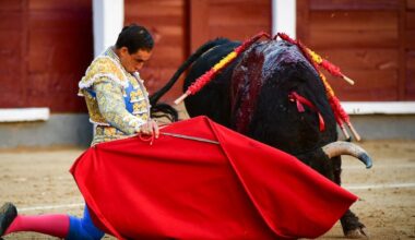 Fortes da una vuelta al ruedo de mucho peso en Madrid