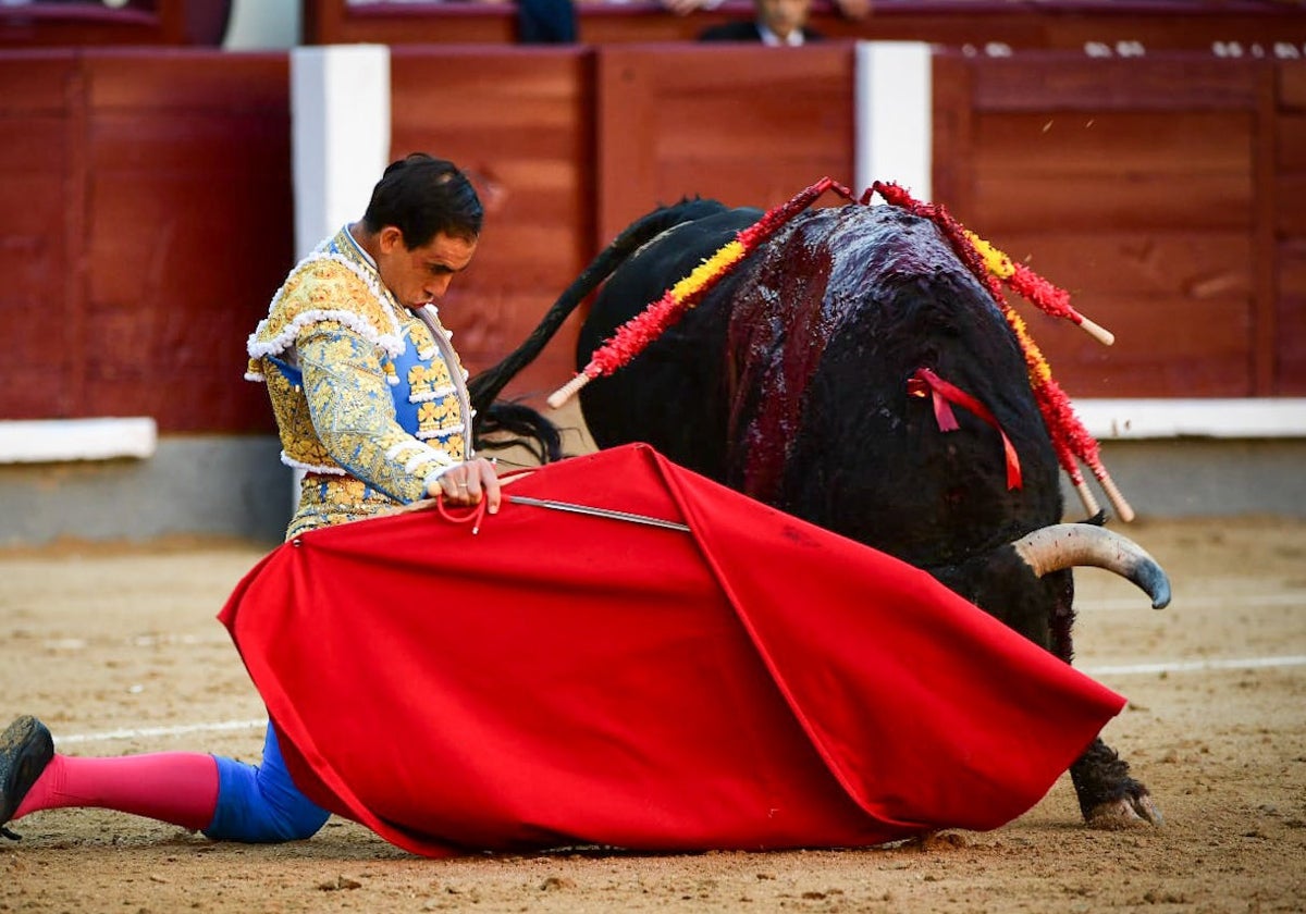 Fortes da una vuelta al ruedo de mucho peso en Madrid