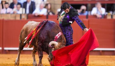 Sevilla.-Canal Sur promedia un 19,5% de share con la transmisión de la Feria de San Miguel