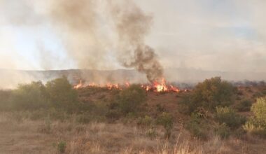 Controlado el incendio en El Castillo de las Guardas