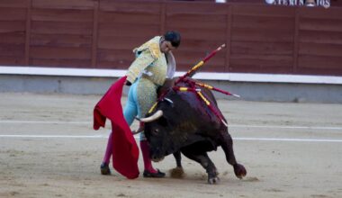 La Plaza de Toros de Las Ventas logra su mejor registro en la última década superando el millón de espectadores