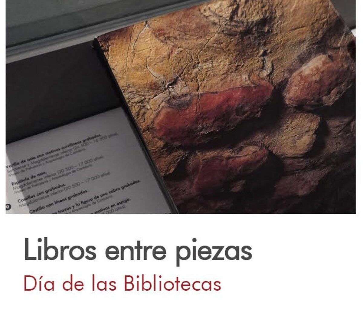 El Museo de Altamira estrena la intervención 'Libros entre piezas' con motivo del Día de las Bibliotecas