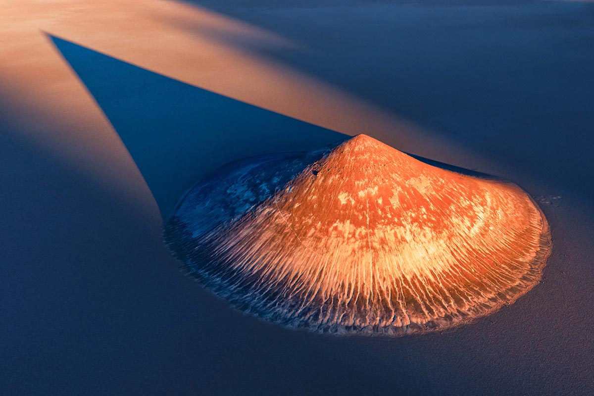 © Francisco Fernández García