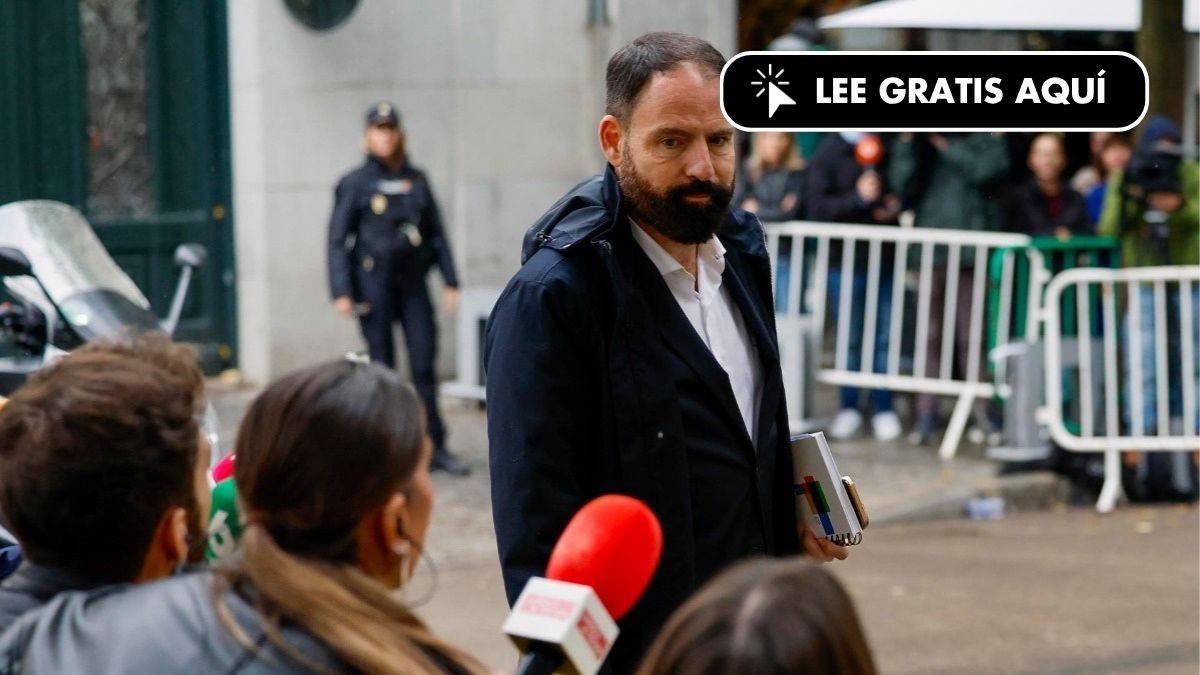 El exgerente del PSOE señala que los pagos a Koldo se hacían sin mayores comprobaciones