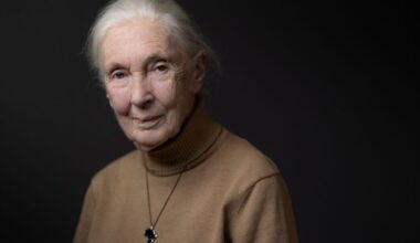 Muere Jane Goodall, la conservacionista que revolucionó el estudio de los primates, a los 91 años