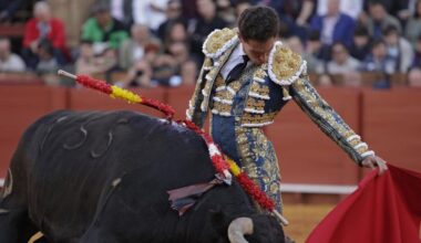 última hora de David Galván, Román y Ginés Marín hoy