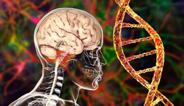 El autismo no es un solo trastorno, según nuevos datos