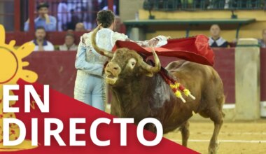 Resumen de la corrida de toros en Zaragoza, narrada en directo: la Feria Taurina del Pilar con Sebastián Castella y Aarón Palacio - heraldo.es