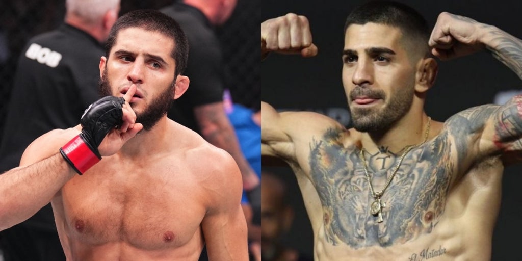 «Si pierde, que vuelva a Daguestán a cuidar de sus ovejas»