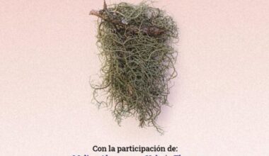 CULTURA: UN VIAJE A MISIONES EN EL LIBRO “ACUÁTICOS”, QUE SE PRESENTA EN POSADAS