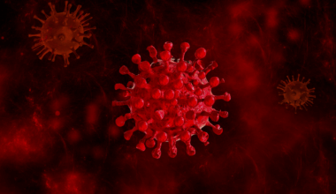 El VRS causa más de 840 000 infecciones respiratorias al año en mayores de 60 años en España