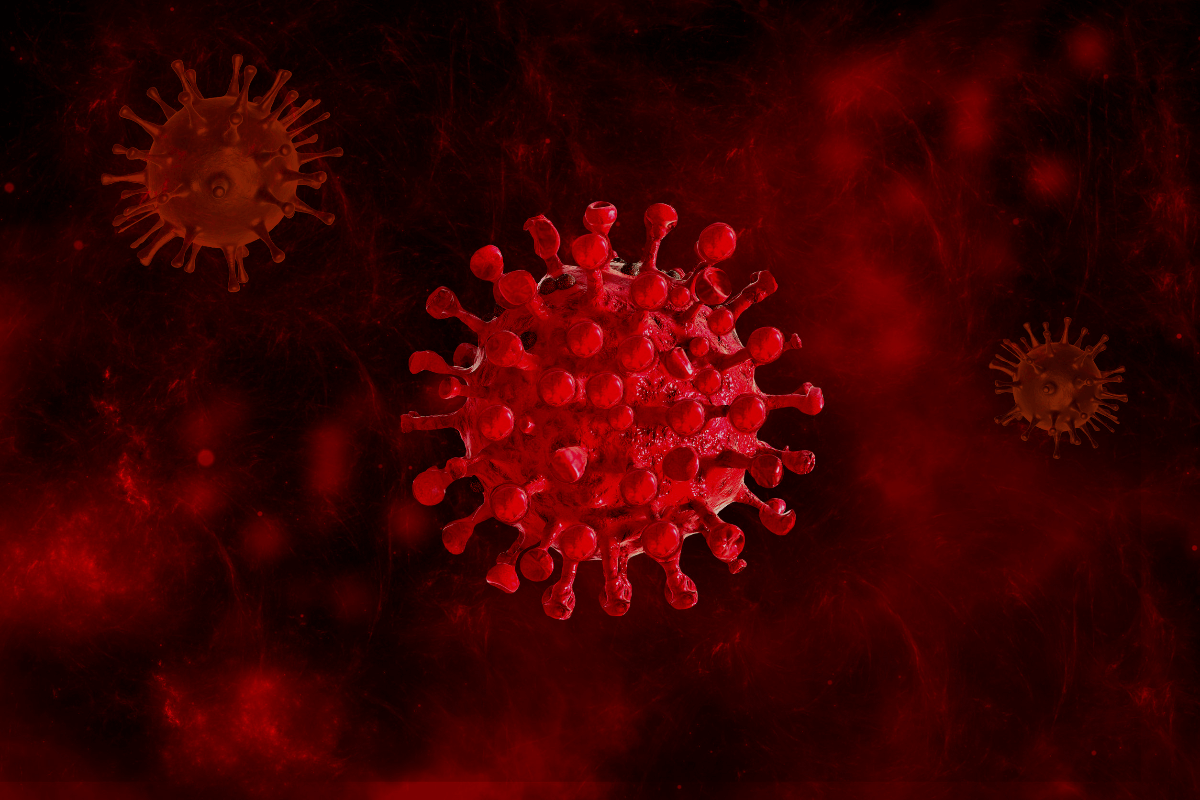 El VRS causa más de 840 000 infecciones respiratorias al año en mayores de 60 años en España