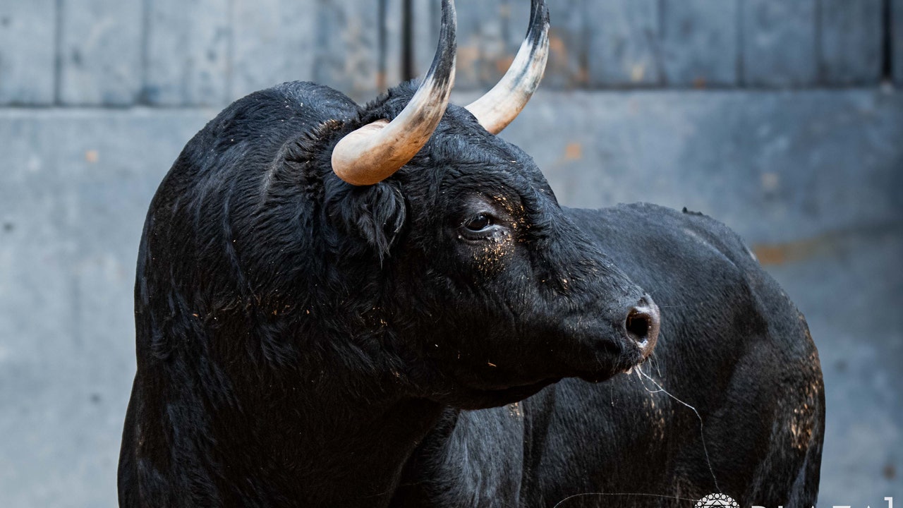 así son los toros de Victoriano del Río para hoy
