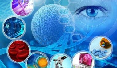 Evaluación ergonómica del uso de dispositivo biomédico para sillas de ruedas autopropulsables