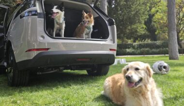 El Jaecoo 5 va a ser el coche favorito de tu mascota, y hay buenos argumentos para ello