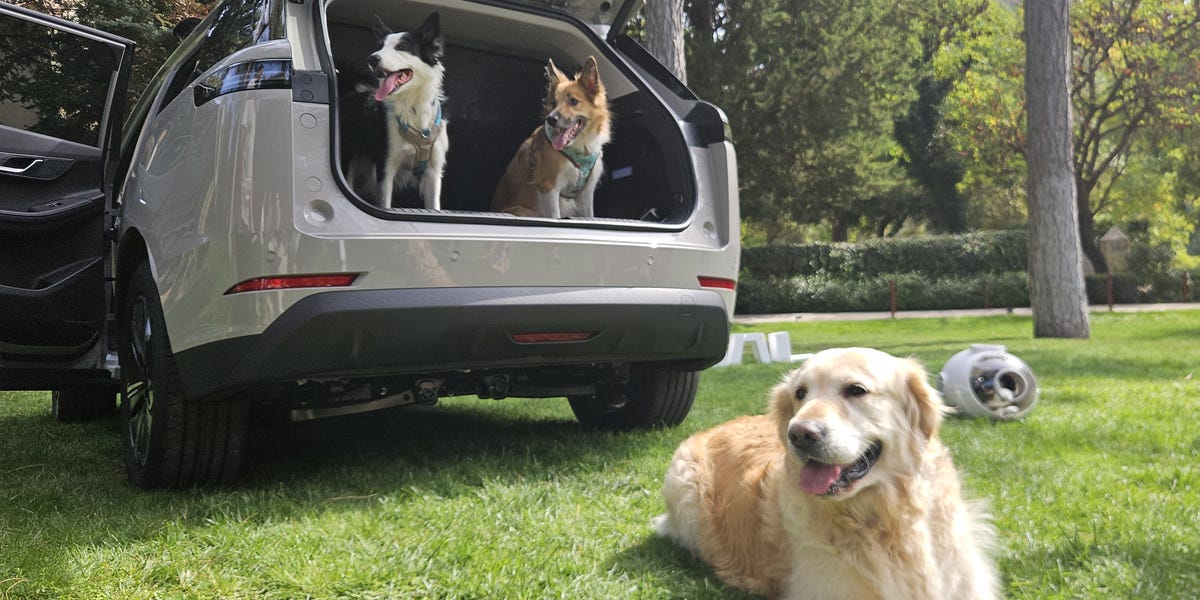 El Jaecoo 5 va a ser el coche favorito de tu mascota, y hay buenos argumentos para ello