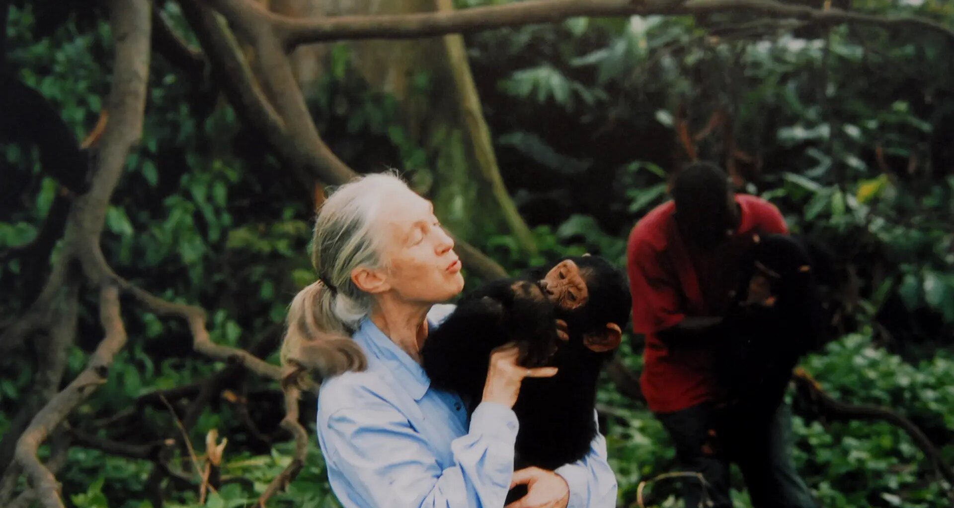 Muere Jane Goodall, experta mundial en chimpancés, a los 91 años