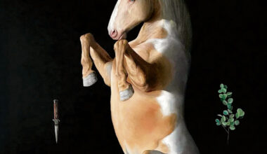 Escenas de la vida interior