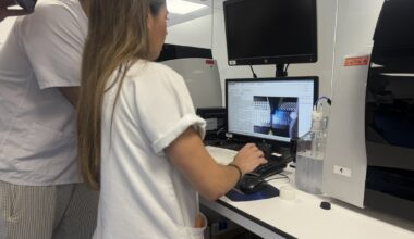 El sistema de vigilancia detecta circulación del virus del Nilo en mosquitos en Barbate, La Campana y La Puebla de los Infantes