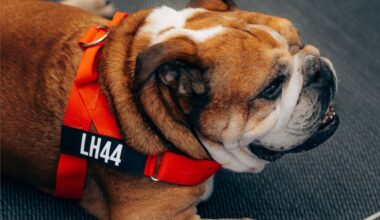 La despedida de Roscoe y cómo unió a la F1 con Lewis Hamilton