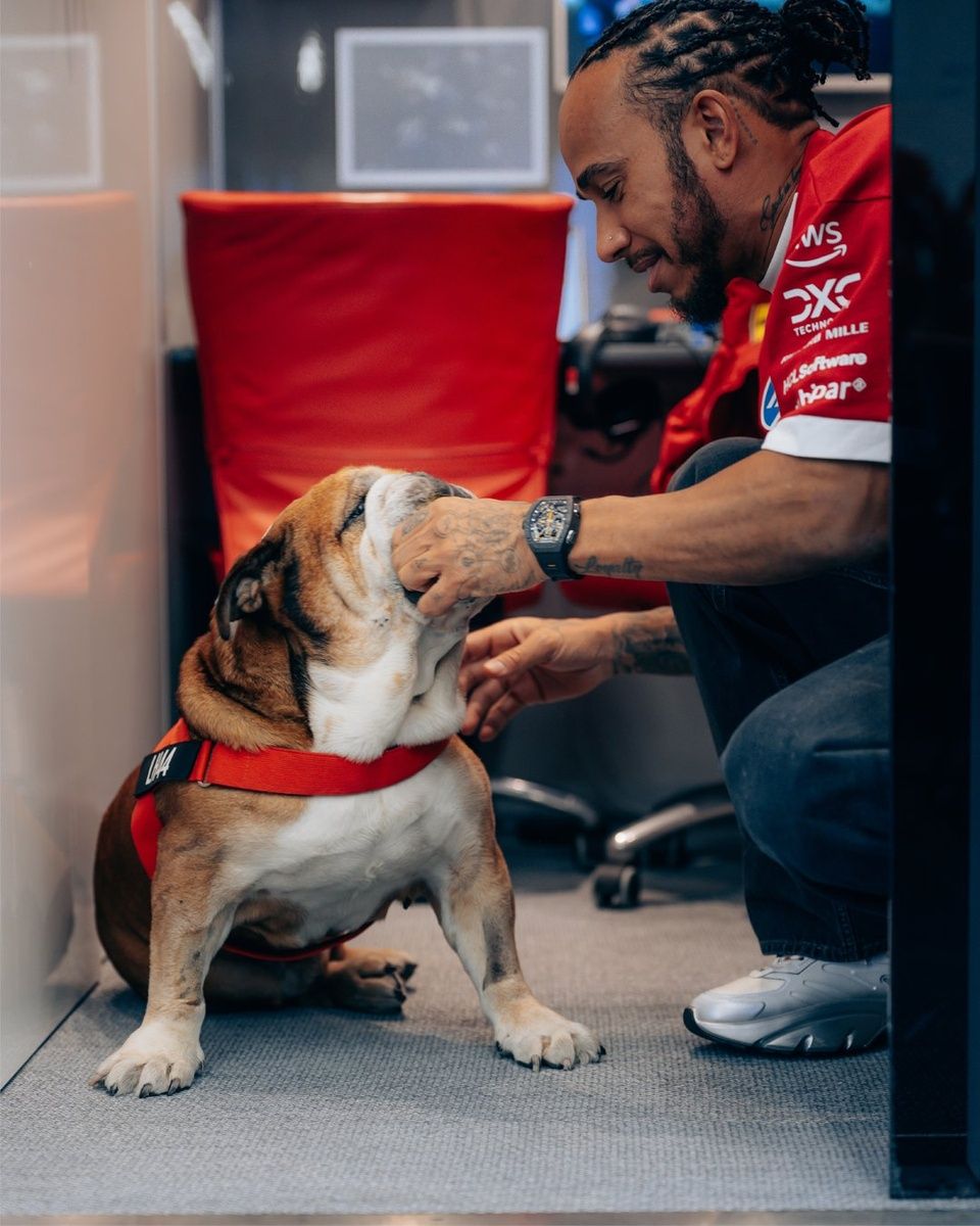 Lewis Hamilton con Roscoe