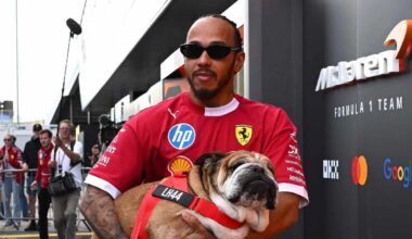 Lewis Hamilton se emociona con un tierno retrato LEGO de su perro Roscoe hecho por fans