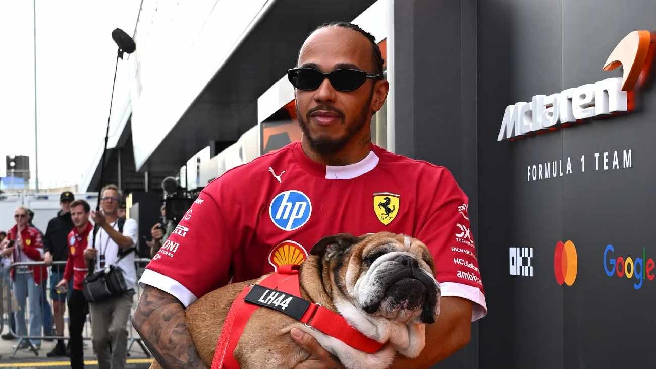 Lewis Hamilton se emociona con un tierno retrato LEGO de su perro Roscoe hecho por fans