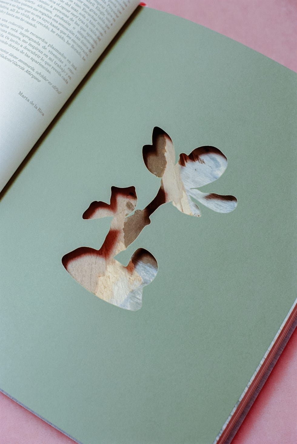 marta de la rica decoradora libro