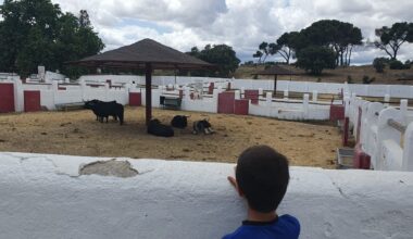Almeida cede a la Comunidad de Madrid la Venta del Batán para recuperar su tradición taurina