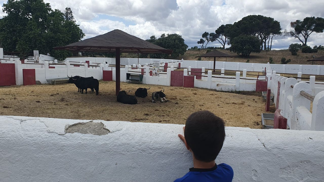 Almeida cede a la Comunidad de Madrid la Venta del Batán para recuperar su tradición taurina