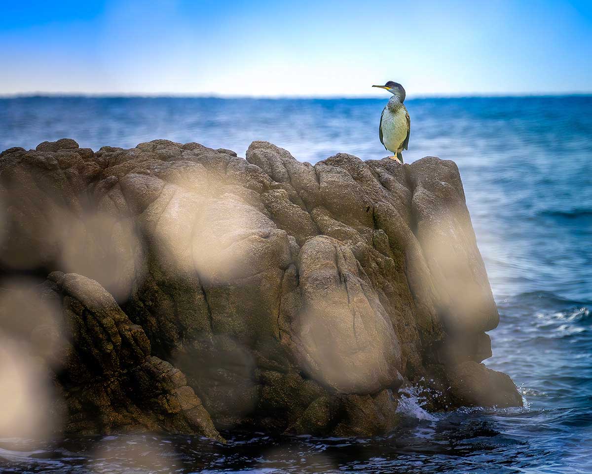 © Lluís Pérez Mañosas