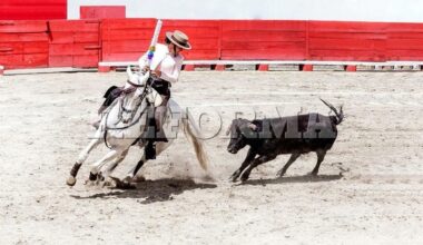 Celebran el Festival After 3.0