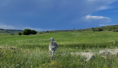 Ganadores del 6º Concurso de Fotografía “Las Fuentecillas” en Armallones | NuevaAlcarria