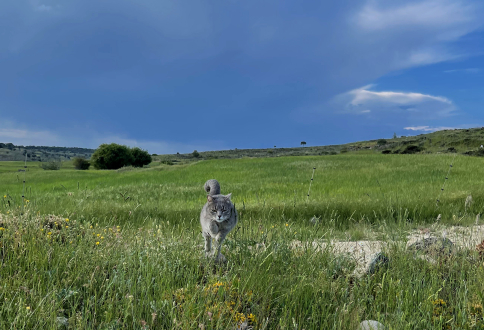 Ganadores del 6º Concurso de Fotografía “Las Fuentecillas” en Armallones | NuevaAlcarria