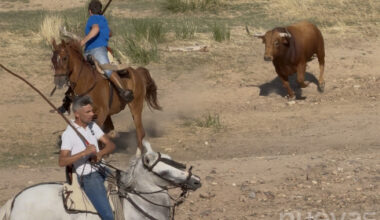 Los premios ProGuadatauro ya tienen fecha para su edición de 2025 | NuevaAlcarria
