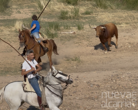 Los premios ProGuadatauro ya tienen fecha para su edición de 2025 | NuevaAlcarria