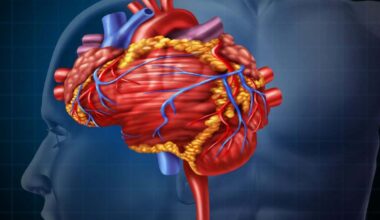 Un sensor biológico desvela cómo funciona una proteína clave para la memoria y el corazón