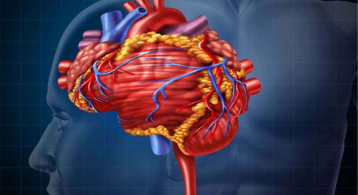 Un sensor biológico desvela cómo funciona una proteína clave para la memoria y el corazón