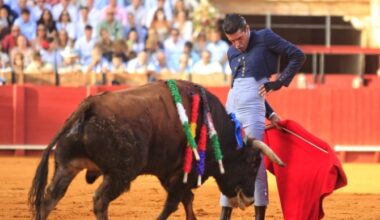 Talavante destaca en el festival de Sevilla entre suspiros por Morante