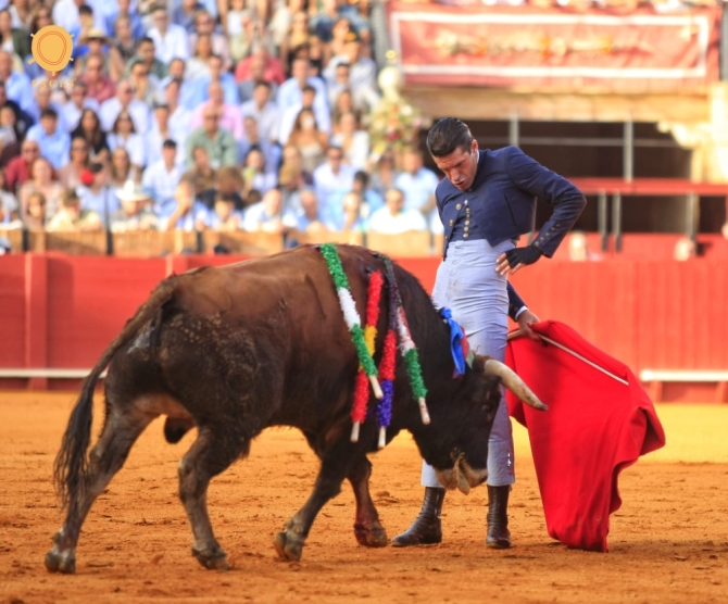 Talavante destaca en el festival de Sevilla entre suspiros por Morante